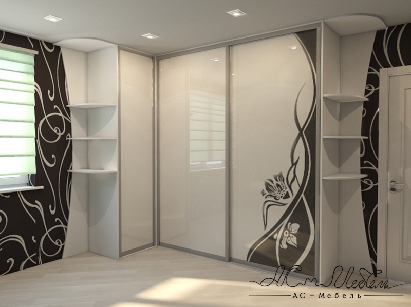 Шкаф-купе ACM-ShK.023