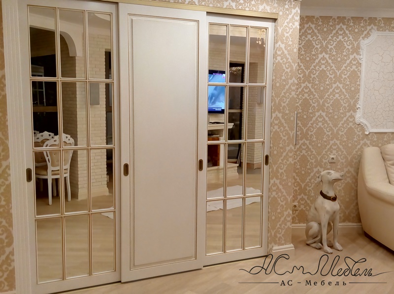 Шкаф-купе ACM-ShK.019