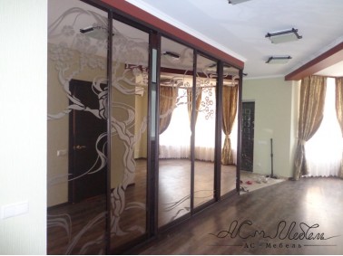 Шкаф-купе ACM-ShK.002