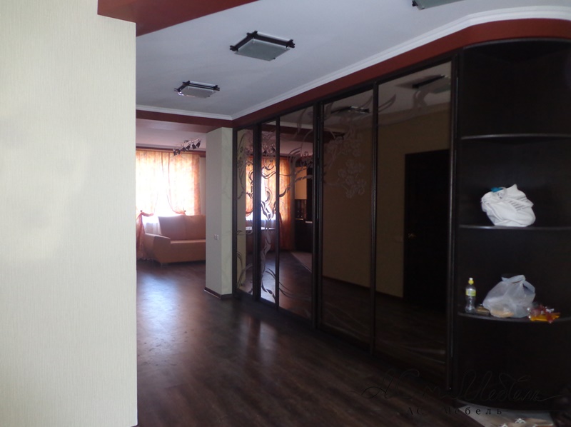 Шкаф-купе ACM-ShK.002