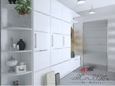 Шкаф-купе ACM-ShK.021