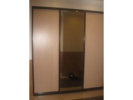 Светлана и Дмитрий